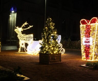 Les Emmitou'Flers - Lancement des illuminations