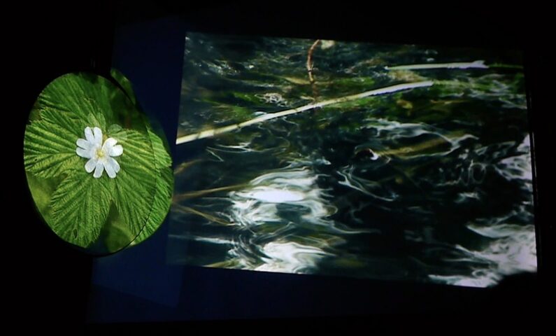 La cinquieme saison _mention_©Photo Annie dissaux 800