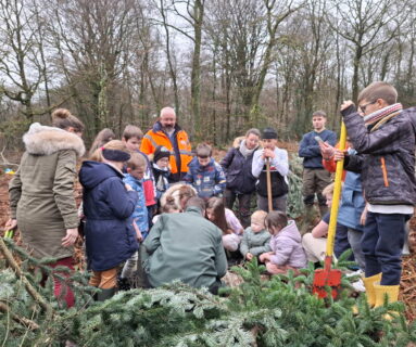Des élèves de Flers plantent des sapins dans la forêt de Halouze