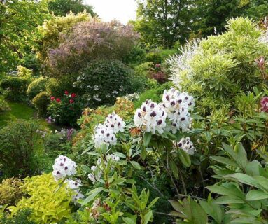 Rendez-vous aux jardins - Le jardin Bleuenn