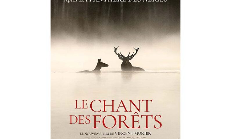 le chant des forêts800