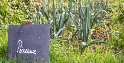 Concevoir son jardin nourricier