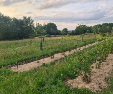 Balade gourmande aux Vergers du Muscardin