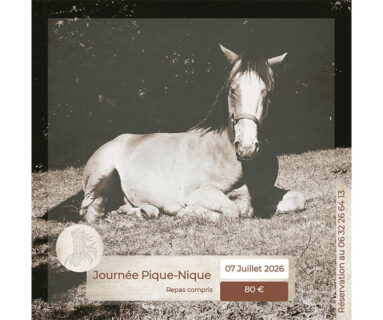 Journée pique-Nique à cheval