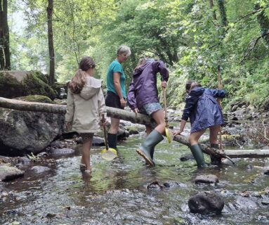 Sortie- Que de vie dans la rivière !