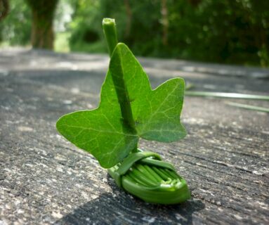 Balade nature- Des plantes et des jeux