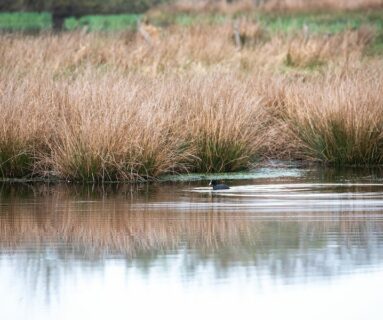 Jeu de piste autour de l'étang