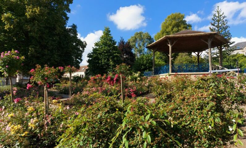 jardin public800