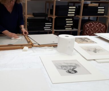 Visite des réserves du musée