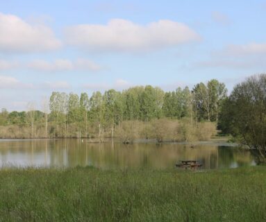 Randos 61 : Découverte de la faune et de la flore à Briouze