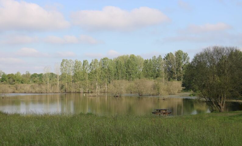 1 – Etang de l&rsquo;Enclos (1)800