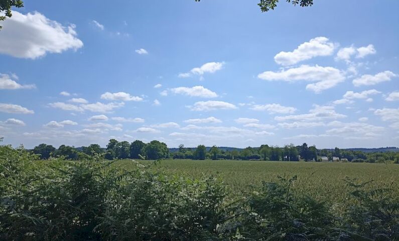 1 – IMG_20250617_150615-800