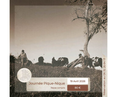 Journée pique-nique à cheval