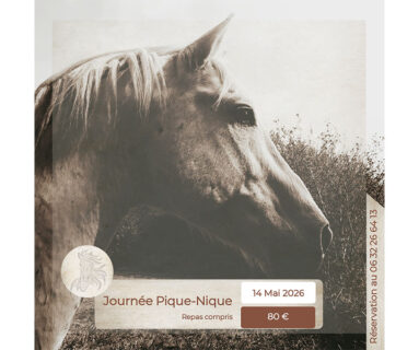 Journée pique-Nique à cheval