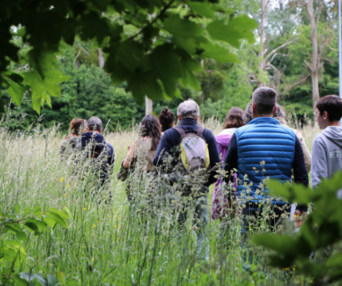 Balade botanique et poétique avec Flora Delalande