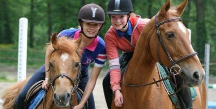 Stage d'équitation