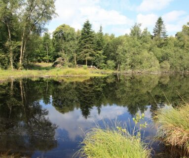 Balade nature - Un étang riche de nature