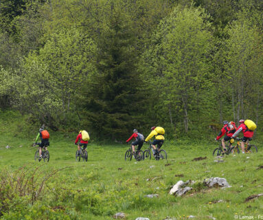 Critérium départemental des jeunes cyclotouristes