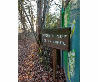 Randos 61 : Circuit du Bois