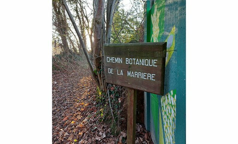 chemin botanique marais800©MNT