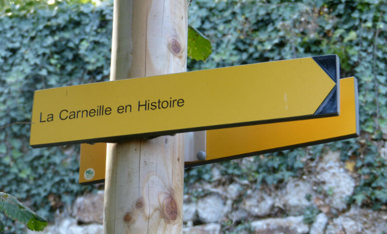 la carneille panneau 800