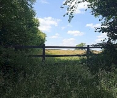 Les Rendez-vous de l'été- randonnée Le Mont d'Hère