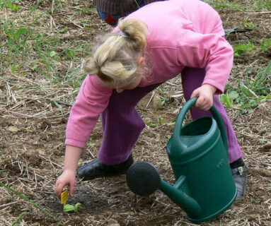 Parlons jardin