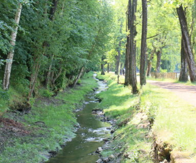Les endroits pour se rafraîchir à Flers pendant la canicule