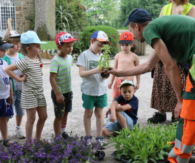 Des élèves participent au fleurissement de la cour du château de Flers
