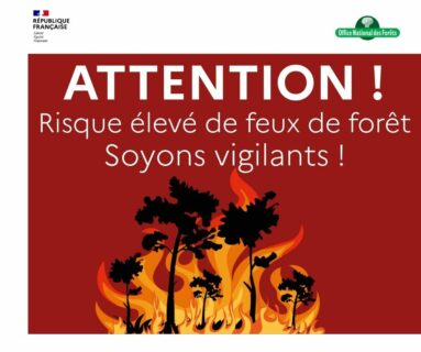 Forêts : risque sévère d’incendie