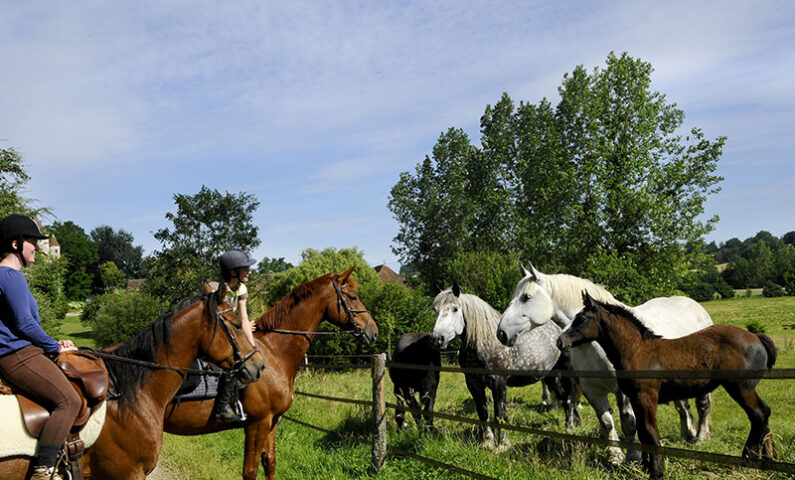 Randonnée à cheval dans l’Orne