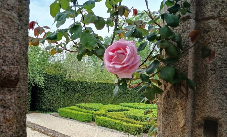 Manoir de la Boisnerie-133358(1)(1)