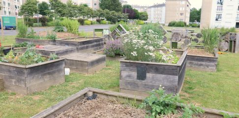 jardins partagés papilles et papillons