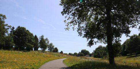 IMG_2374