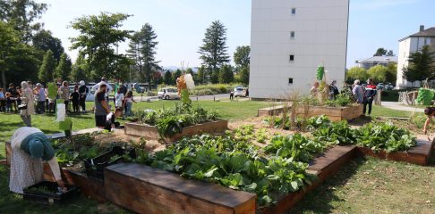 Les jardins partagés du quartier Saint-Sauveur, à Flers, ont été créés en 2021.