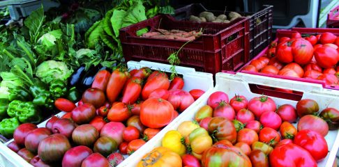 Du champ à l'assiette, soyons tous acteurs de notre alimentation.